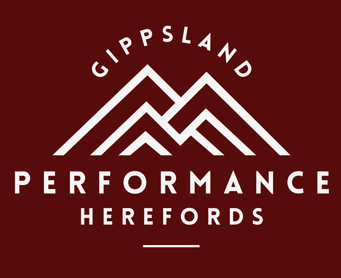 Gippsland Performance Herefords